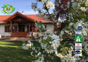 Mezőkövesd - Zsóry SAKURA apartmán